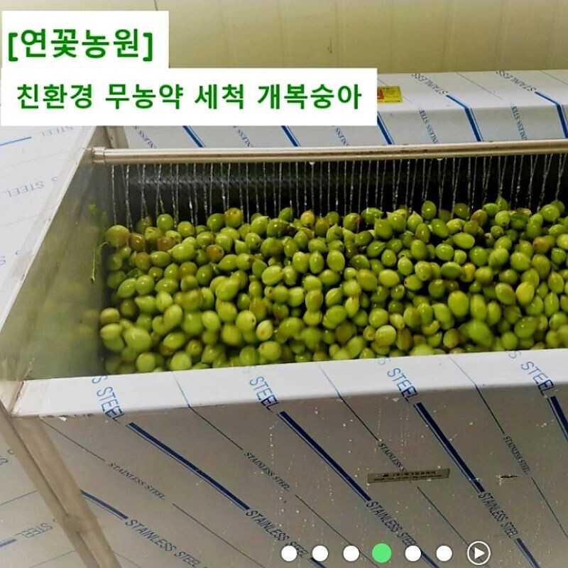 양양몰, 연꽃농원 친환경 무농약 세척 개복숭아 5kg,10kg