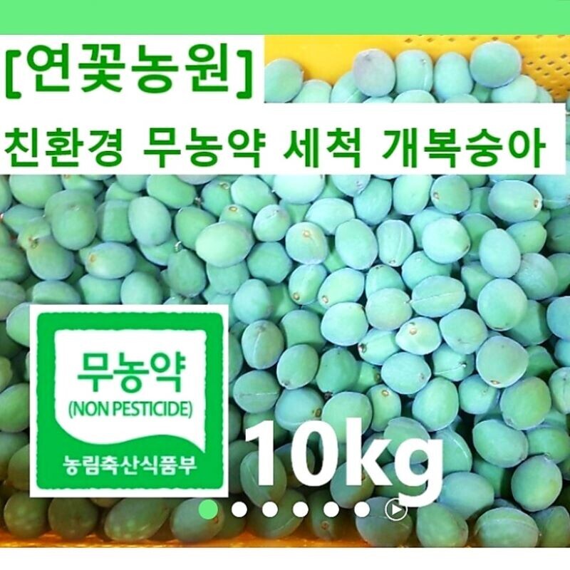 연꽃농원 친환경 무농약 세척 개복숭아 10kg / 청정지역 양양
